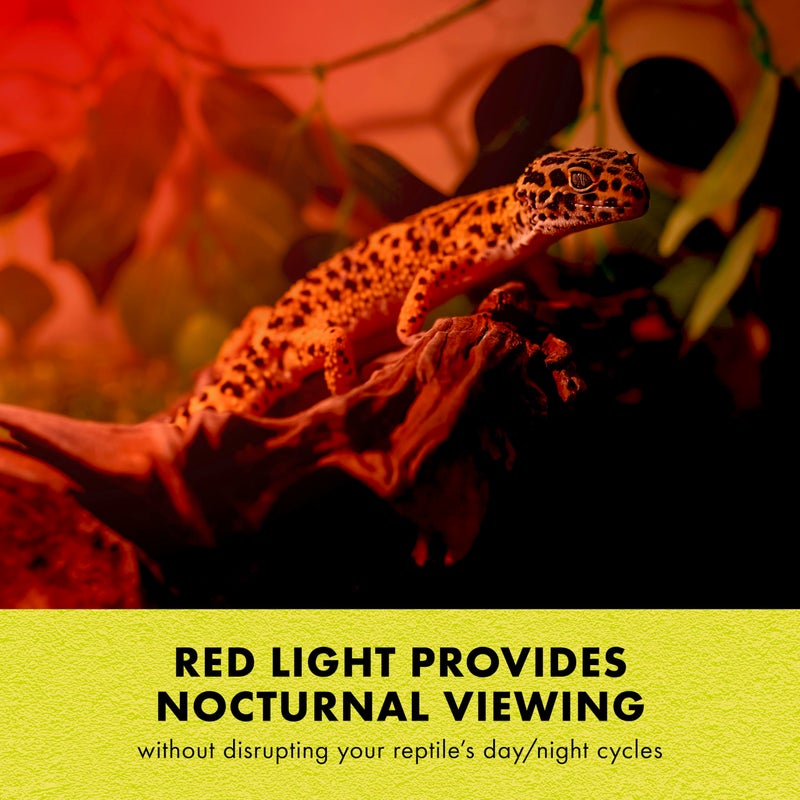 Zilla Reptile Terrarium Incandescent Heat Spot Bulb, Night Red, 150 Watts - Image 4